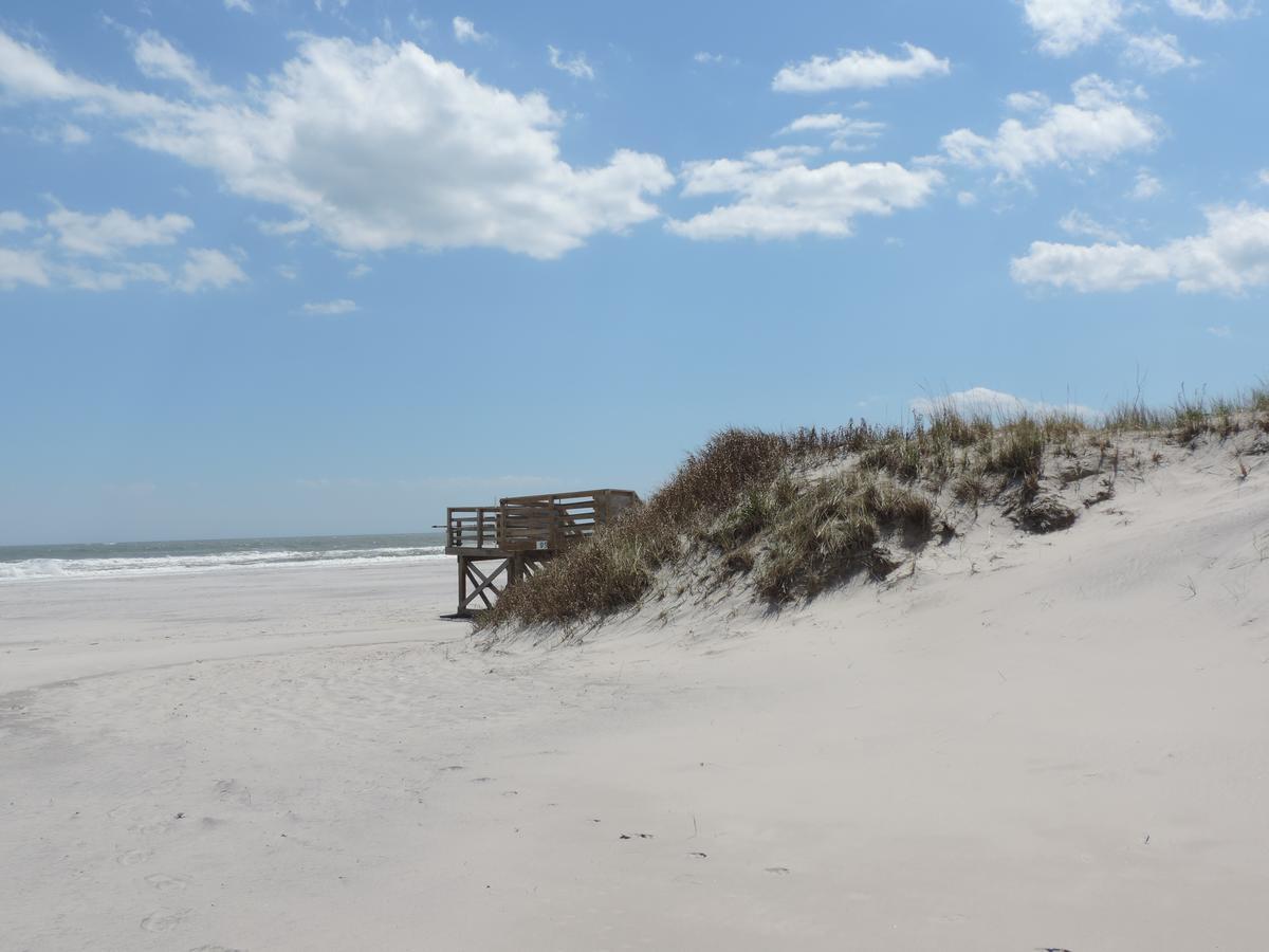 Ivanhoe North Wildwood